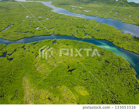 Wide river channel running through dense green mangrove forest. Siargao, Philippines. Wide river channel running through dense green mangrove forest. Siargao, Philippines. 133053316