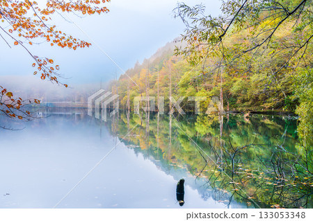 黎明前，秋葉倒映在天然湖面上。 133053348