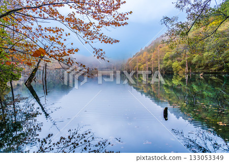 黎明前,秋葉倒映在天然湖面上。 黎明前,秋葉倒映在天然湖面上。 133053349