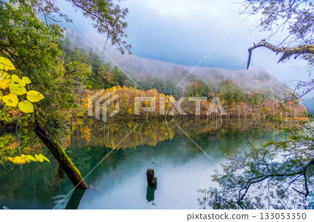 黎明前，秋葉倒映在天然湖面上。 133053350
