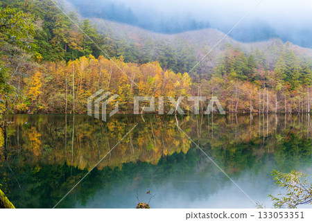 黎明前,秋葉倒映在天然湖面上。 黎明前,秋葉倒映在天然湖面上。 133053351