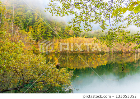 黎明前，秋葉倒映在天然湖面上。 133053352