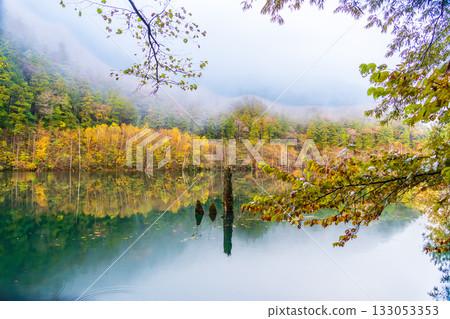 Autumn leaves reflected on the surface of a natural lake before dawn Autumn leaves reflected on the surface of a natural lake before dawn 133053353