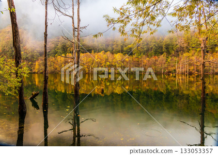 黎明前，秋葉倒映在天然湖面上。 133053357