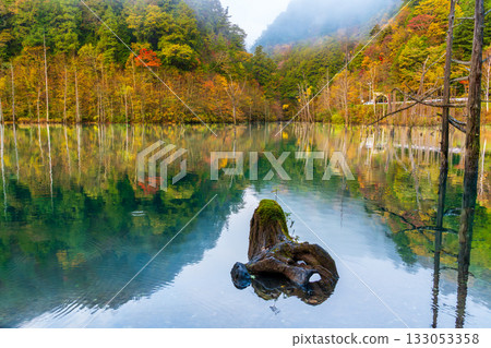黎明前,秋葉倒映在天然湖面上。 黎明前,秋葉倒映在天然湖面上。 133053358