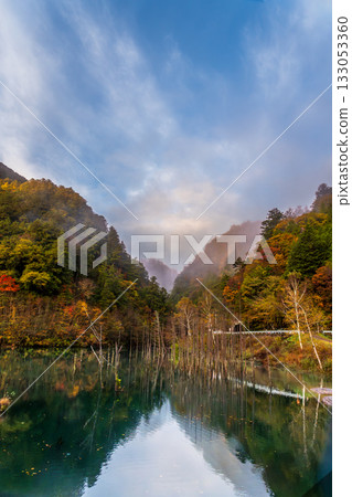 Autumn leaves reflected on the surface of a natural lake before dawn 133053360