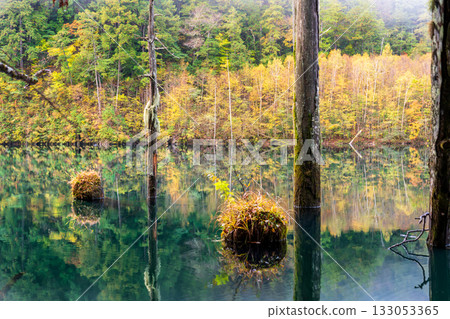 Autumn leaves reflected on the surface of a natural lake before dawn 133053365