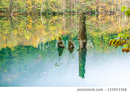 黎明前，秋葉倒映在天然湖面上。 133053366