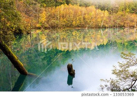 黎明前，秋葉倒映在天然湖面上。 133053369