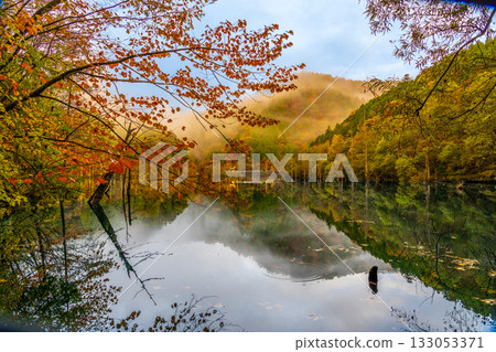 黎明前，秋葉倒映在天然湖面上。 133053371