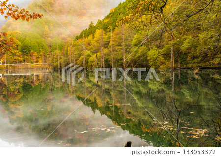 黎明前，秋葉倒映在天然湖面上。 133053372