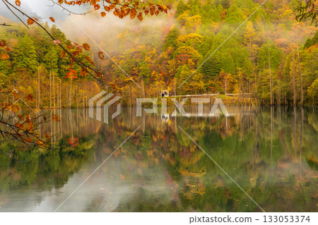 黎明前，秋葉倒映在天然湖面上。 133053374