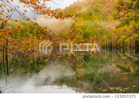 黎明前，秋葉倒映在天然湖面上。 133053375