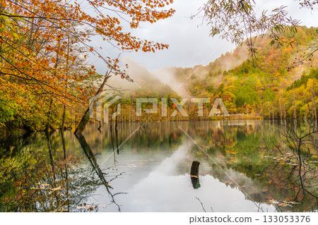 黎明前，秋葉倒映在天然湖面上。 133053376