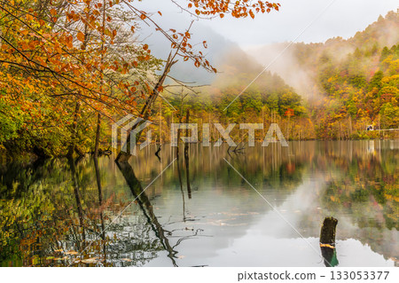 黎明前,秋葉倒映在天然湖面上。 黎明前,秋葉倒映在天然湖面上。 133053377