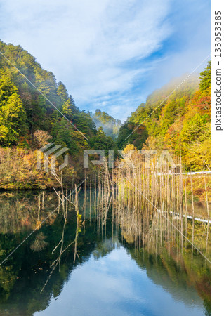 Autumn leaves reflected on the surface of a natural lake before dawn Autumn leaves reflected on the surface of a natural lake before dawn 133053385