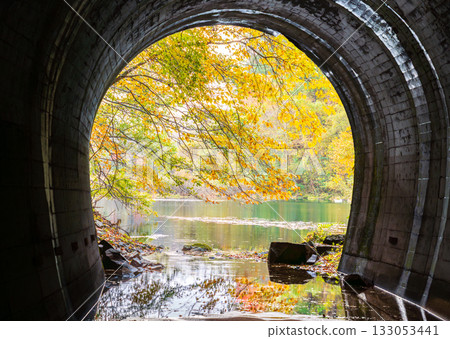 秋葉倒映在天然湖泊中水下隧道的水面上 秋葉倒映在天然湖泊中水下隧道的水面上 133053441