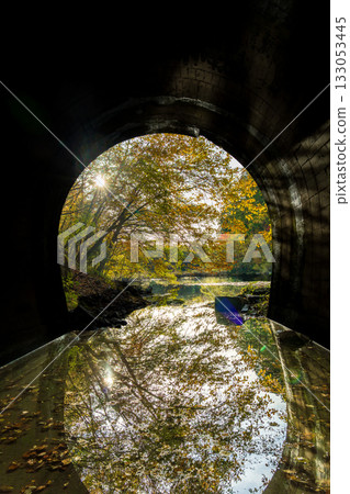 Autumn leaves reflected on the surface of a submerged tunnel in a natural lake 133053445