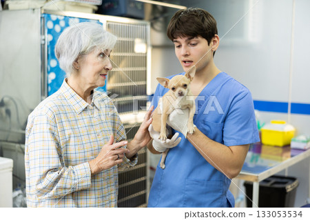 Young veterinarian consulting elderly female chihuahua owner at veterinary clinic 133053534