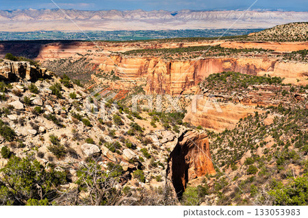 Scenic view from Highland View overlook in Colorado National Monument. Red Canyon is in the foreground, with the Grand Valley and Book Cliffs in the distance Scenic view from Highland View overlook in Colorado National Monument. Red Canyon is in the foreground, with the Grand Valley and Book Cliffs in the distance 133053983