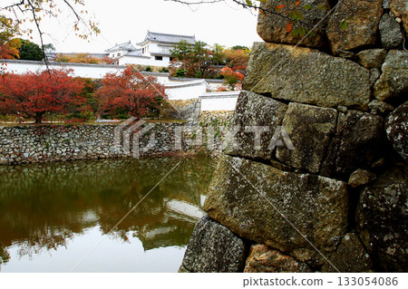 姬路城秋葉 133054086