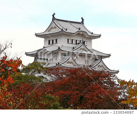 Himeji Castle Autumn leaves 133054097