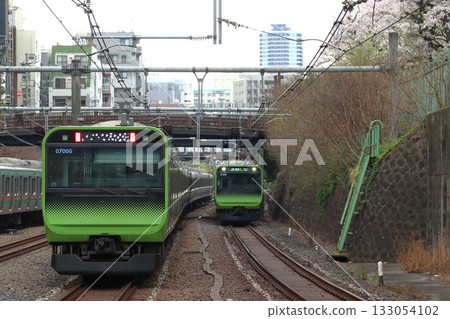 Yamanote Line E235 series train and rows of cherry blossom trees in spring 133054102