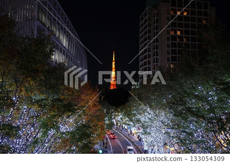 東京鐵塔被櫸樹的燈光照亮。 2060年11月,港區,東京塔和櫸樹坂燈光秀 東京鐵塔被櫸樹的燈光照亮。 2060年11月,港區,東京塔和櫸樹坂燈光秀 133054309