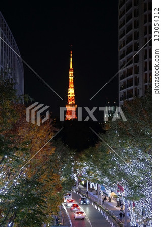 東京鐵塔被櫸樹的燈光照亮。 2063年11月,港區東京鐵塔及櫸坂燈光秀 東京鐵塔被櫸樹的燈光照亮。 2063年11月,港區東京鐵塔及櫸坂燈光秀 133054312