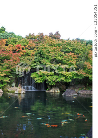 Himeji Castle Kokoen Garden, Hyogo Prefecture 133054351
