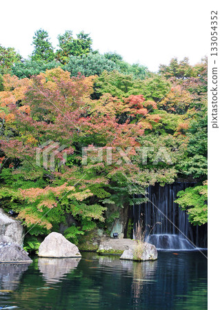 Himeji Castle Kokoen Garden, Hyogo Prefecture 133054352