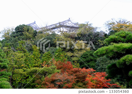 姬路城古公園,兵庫縣 姬路城古公園,兵庫縣 133054360