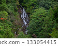 Imabuku Falls: The top section seen from the observation deck (Imabuku, Miyazu City, Kyoto Prefecture) 133054415