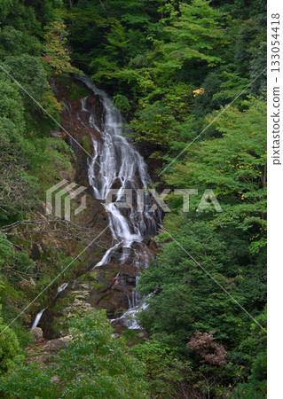 Imabuku Falls: The top section seen from the observation deck (Imabuku, Miyazu City, Kyoto Prefecture) Imabuku Falls: The top section seen from the observation deck (Imabuku, Miyazu City, Kyoto Prefecture) 133054418
