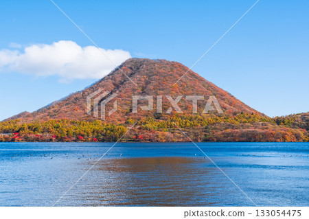 Mount Haruna, Lake Haruna, and Mount Haruna Fuji (Autumn) 133054475