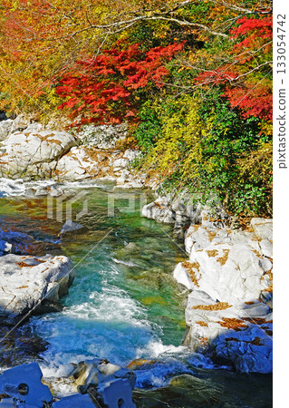 薰香秋葉 133054742