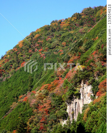 薰香秋葉 133054818