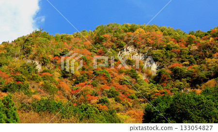 Kaoru incense autumn leaves Kaoru incense autumn leaves 133054827