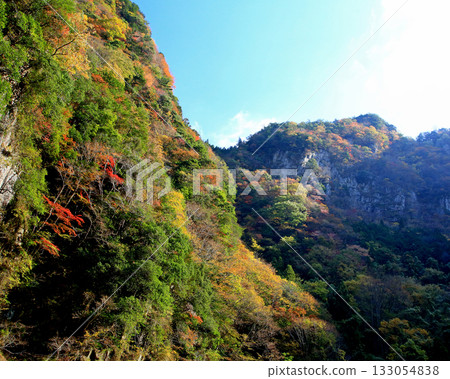 Kaoru incense autumn leaves Kaoru incense autumn leaves 133054838