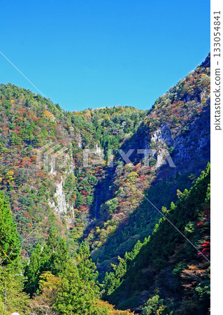 Kaoru incense autumn leaves 133054841