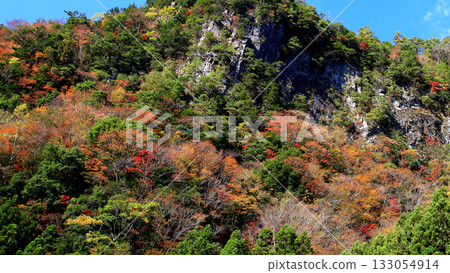 薰香秋葉 133054914