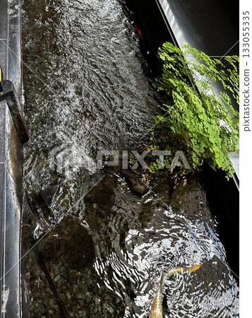 目黑雅敘園庭院 133055335