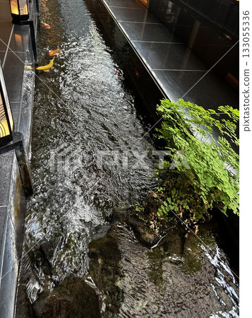 目黑雅敘園庭院 133055336