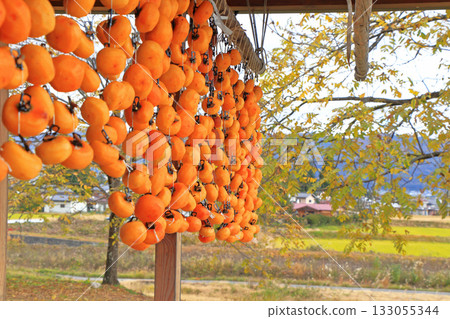 Dried persimmon Dried persimmon 133055344