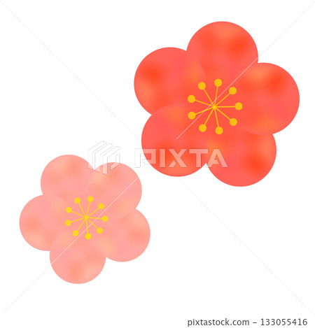 簡單的梅花開花圖 簡單的梅花開花圖 133055416