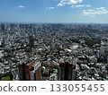 Cityscape from Mori Building 133055455
