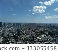 Cityscape from Mori Building 133055458
