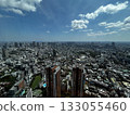 Cityscape from Mori Building 133055460