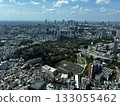 Cityscape from Mori Building 133055462