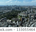 Cityscape from Mori Building 133055464